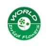 World Dried Flowers Logo
