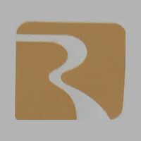 R.N.S.INTERNATIONAL Logo