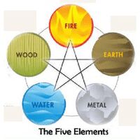 The five elements Logo