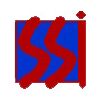 S.S. Instruments Pvt. Ltd. Logo