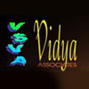 Vs Vidya Associates