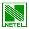 Netel India Limited Logo