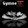 Gymnex Sports Industries