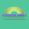 Amtech India Controls