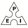 Pandit Electro Services Logo
