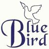 Bluebirdintl Logo
