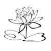 Lotus Innovations Logo