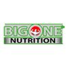 Big One Nutrition Logo