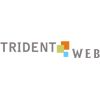 Trident Web Infoservices Pvt. Ltd.
