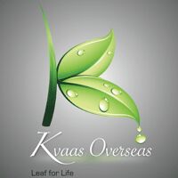 Kvaas Overseas Logo