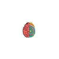 Brain Magic Logo