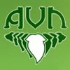 AVN Ayurveda Formulations Pvt. Ltd. Logo