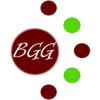 BGG Corp Consultants