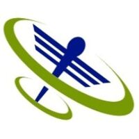Wabenzi International Logo