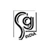 Sg India Logo
