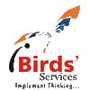 Ibirds Software Education