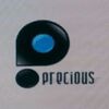 PRECIOUS MINERAL PROCESSING SYSTEMS PVT.LTD Logo