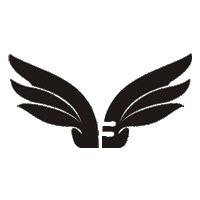 Falcon Enterprises Logo