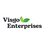 VISGO ENTERPRISES Logo