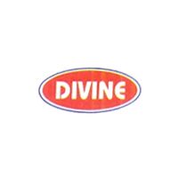 Divine Industries Logo