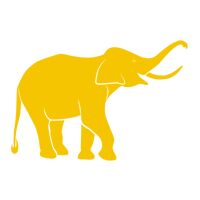 Crazy Elephant Logo