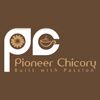Pioneer Chicory Logo