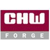 Chw Forge- Forged Flanges Manufacturer in India