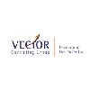 Vector Consulting Group