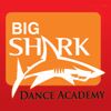 BIG SHARK DANCE STUDIO