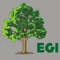 Eco Green Infrastructure Logo