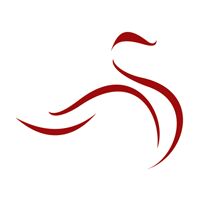 SWAN INTERNATIONAL Logo