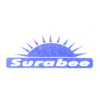 Surabee A Centre for Addiction Recovery