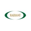Radiant Info Solutions Private Limited