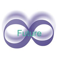 Future Electronic & Systems Logo