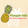 Pineapple India Logo