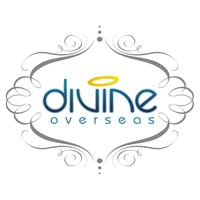 Divine Overseas Logo