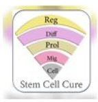 Stem Cell Cure Private Limited