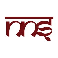 NNS Exports International Logo