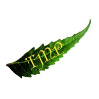 TMP Exports Logo