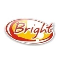 Bright Trading Co Logo