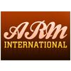 Arm International Logo