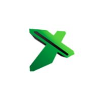 Advanced Excel Institute Logo