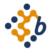 Benerg Software Solutions Logo