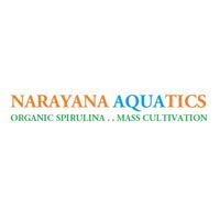 Narayana Aquatics