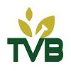 TVB Healthcare Logo