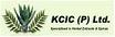 Kcic P Ltd