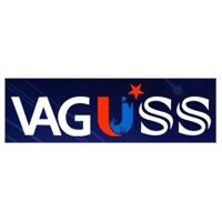 Vaguss India Pvt. Ltd Logo