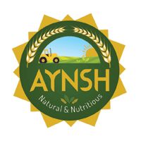 AYNSH IMPEX Logo