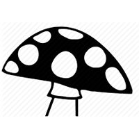 Kolhapur Mushrooms Logo