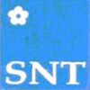 Snt International Logo